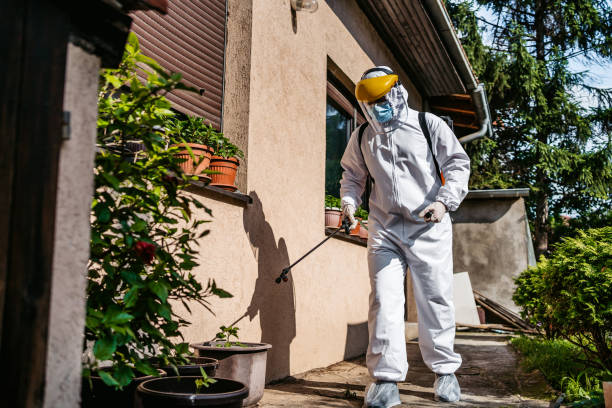 Best Insect Control  in Charlestown, IN