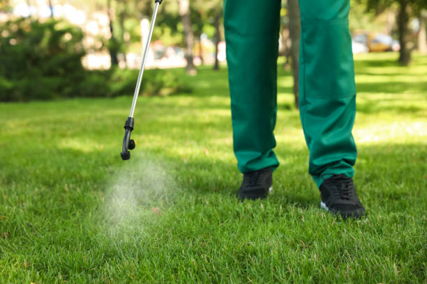 Best Local Pest Control Services  in Charlestown, IN