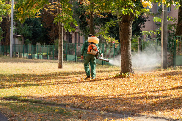 Best Flea Control Services  in Charlestown, IN